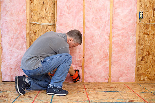 Best Garage Insulation Installation  in Sun Prairie, WI
